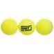 Професійні м&rsquo;ячі для великого тенісу, "DUNLOP FORT TOURNAMENT SELECT", Філіппіни, DL601315