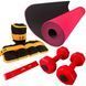 Набор для фитнеса 4 в 1, NEWDAY FIT SET, коврик для йоги, гантели по 1 кг, утяжелители по 1 кг, эспандер