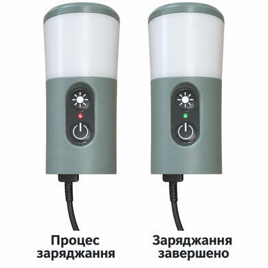 Акумуляторна помпа KOSHIN, Японія Li-ion 2000мА&middot;год, USB Type-C, АкваСтоп, для перекачування ПММ миючих та технічних рідин, BEP-10