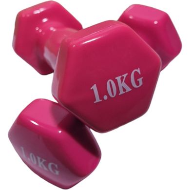 Гантелі вінілові, пара по 1 кг, загальна вага 2 кг, для фітнесу, рожеві гантельки з вініловим покриттям, BS, NEWDAY