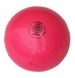 М'яч художньої гімнастики Togu FIG 400 г, 19 см, Togu